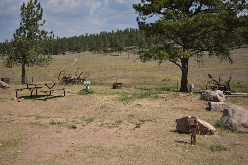 M Lazy C Ranch : 801 County Road 453, Lake George, CO 80827